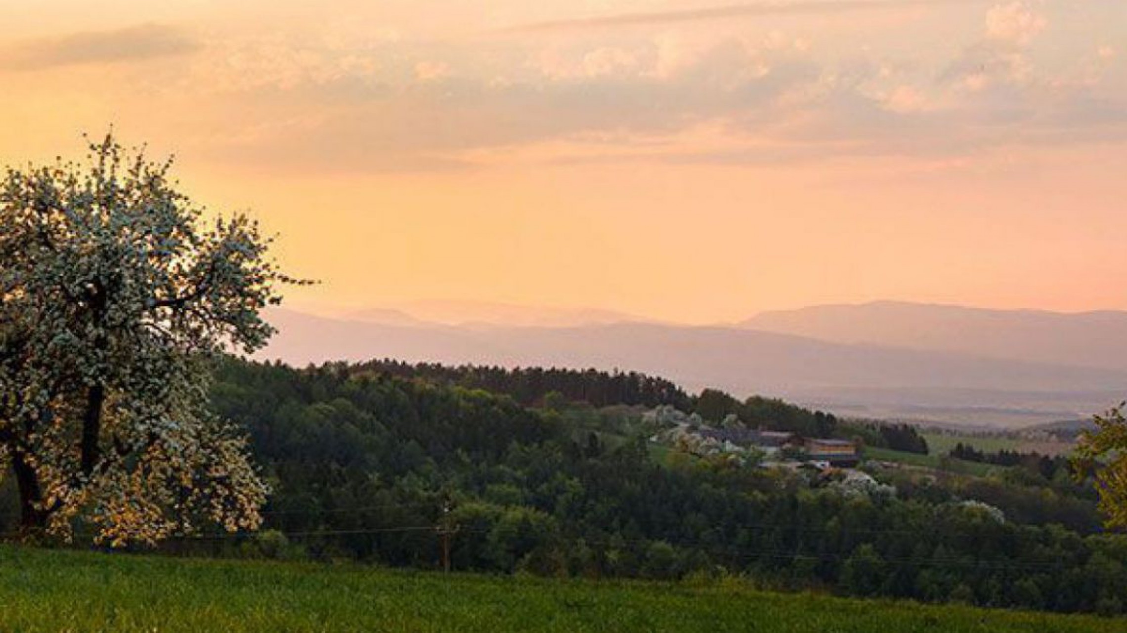 Landschaftsfoto Marktgemeinde Warth