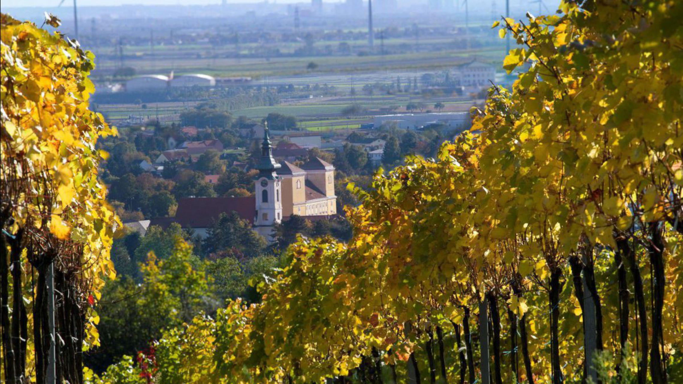 Gemeinde Wolkersdorf